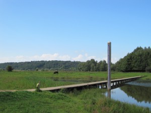IMG_4443